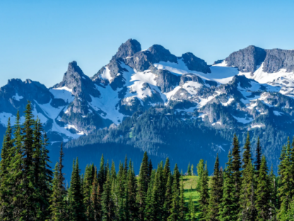 Mountain landscape with trees - Freedom Counselling